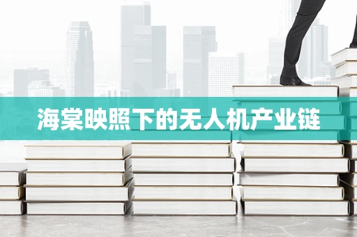 海棠映照下的无人机产业链