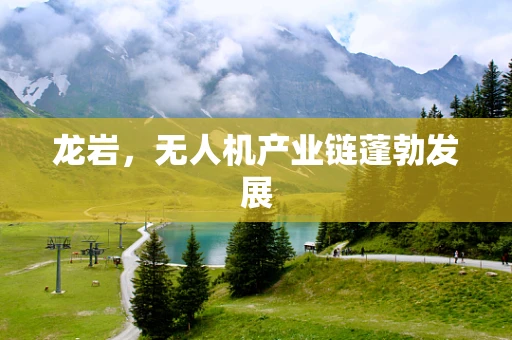 龙岩，无人机产业链蓬勃发展