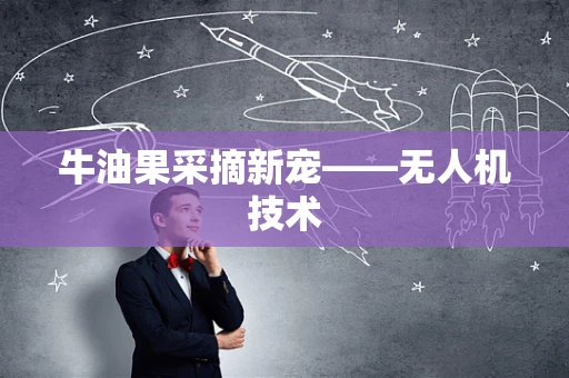 牛油果采摘新宠——无人机技术