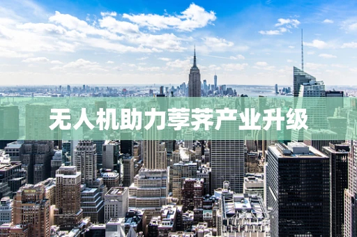 无人机助力荸荠产业升级