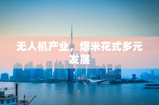 无人机产业，爆米花式多元发展