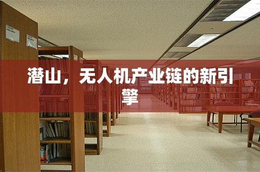 潜山，无人机产业链的新引擎