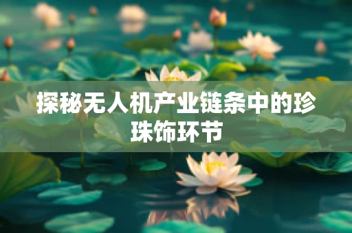 探秘无人机产业链条中的珍珠饰环节