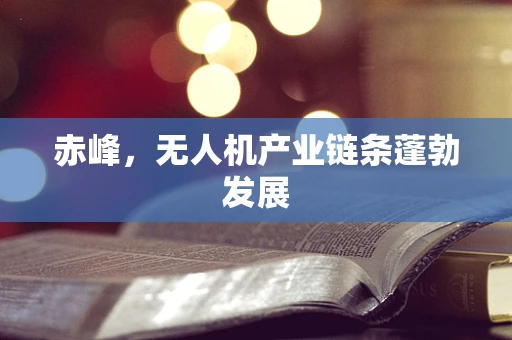 赤峰，无人机产业链条蓬勃发展
