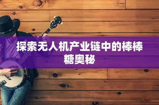 探索无人机产业链中的棒棒糖奥秘