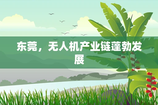 东莞，无人机产业链蓬勃发展