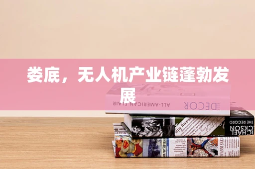 娄底，无人机产业链蓬勃发展