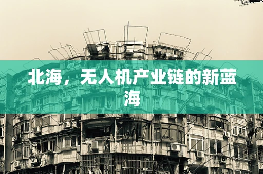 北海，无人机产业链的新蓝海
