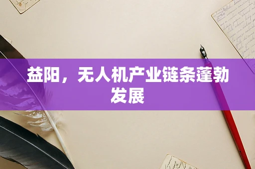 益阳，无人机产业链条蓬勃发展