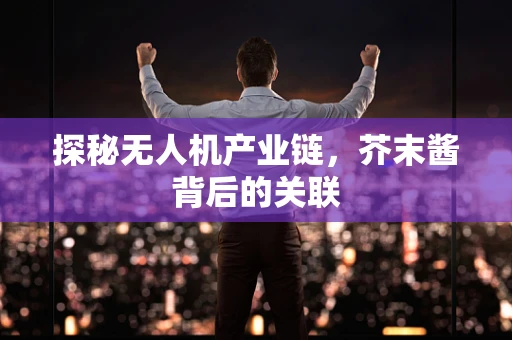 探秘无人机产业链，芥末酱背后的关联