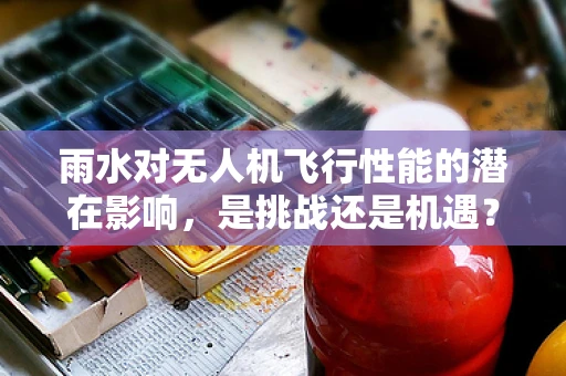 雨水对无人机飞行性能的潜在影响，是挑战还是机遇？