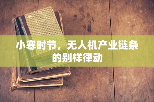 小寒时节，无人机产业链条的别样律动
