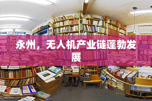 永州，无人机产业链蓬勃发展