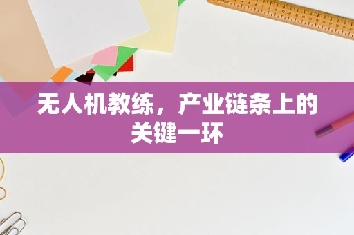 无人机教练，产业链条上的关键一环