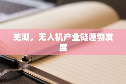 芜湖，无人机产业链蓬勃发展