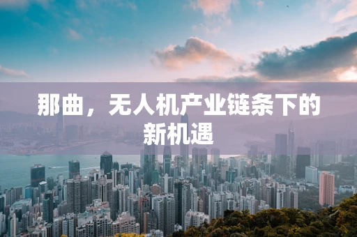 那曲，无人机产业链条下的新机遇