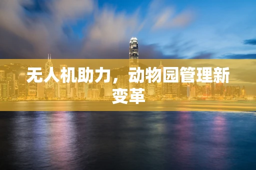 无人机助力，动物园管理新变革