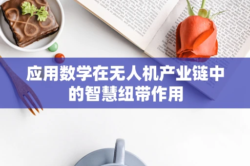 应用数学在无人机产业链中的智慧纽带作用