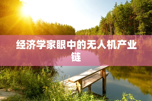 经济学家眼中的无人机产业链