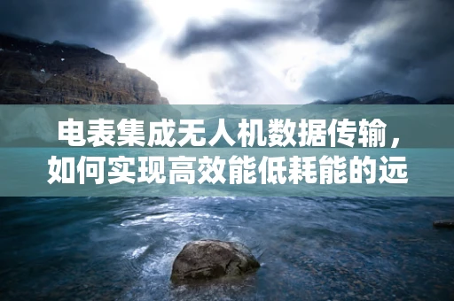 电表集成无人机数据传输，如何实现高效能低耗能的远程监控？