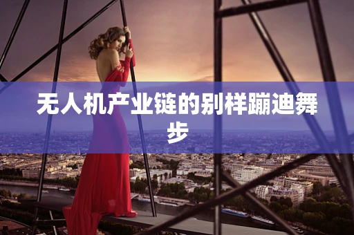 无人机产业链的别样蹦迪舞步