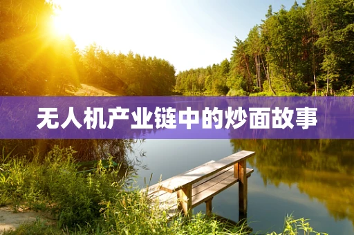 无人机产业链中的炒面故事