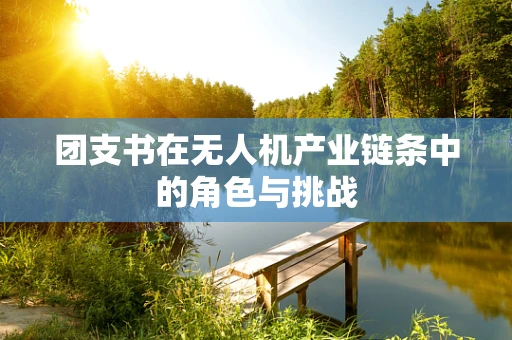 团支书在无人机产业链条中的角色与挑战