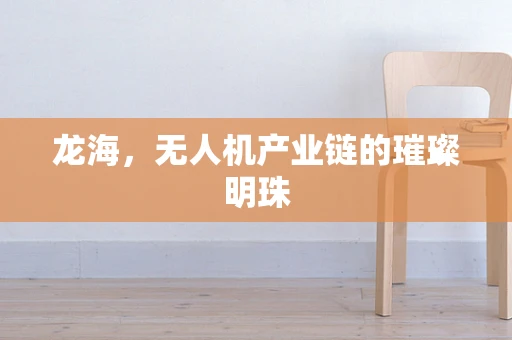 龙海，无人机产业链的璀璨明珠