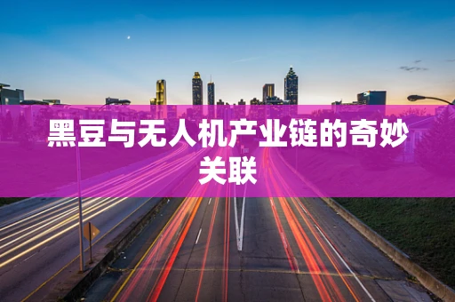 黑豆与无人机产业链的奇妙关联