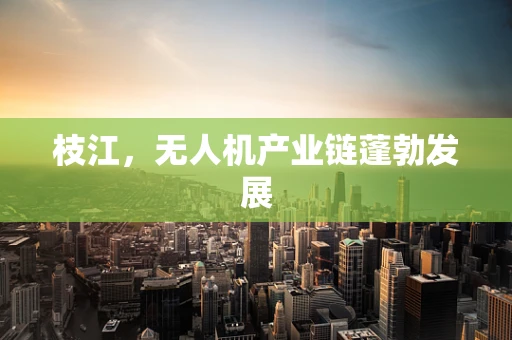 枝江，无人机产业链蓬勃发展