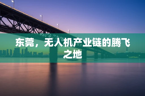 东莞，无人机产业链的腾飞之地