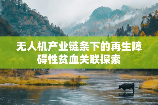 无人机产业链条下的再生障碍性贫血关联探索