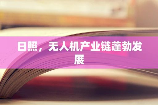 日照，无人机产业链蓬勃发展