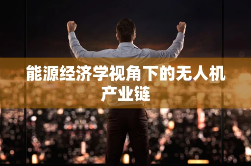 能源经济学视角下的无人机产业链