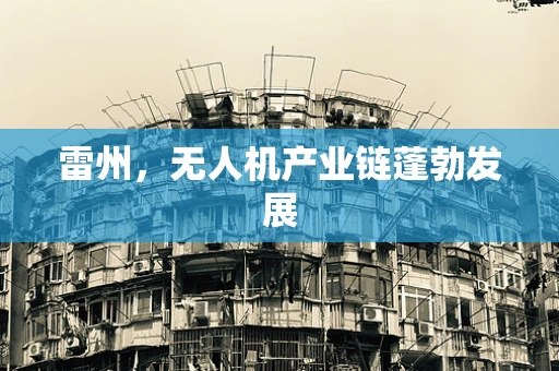 雷州，无人机产业链蓬勃发展