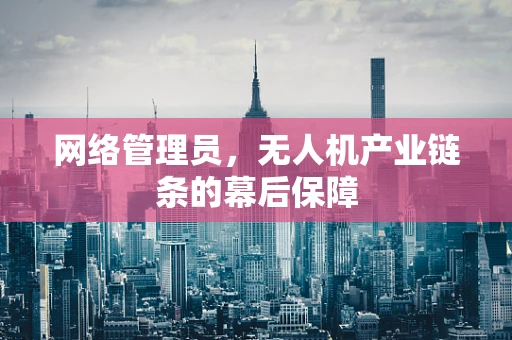 网络管理员，无人机产业链条的幕后保障