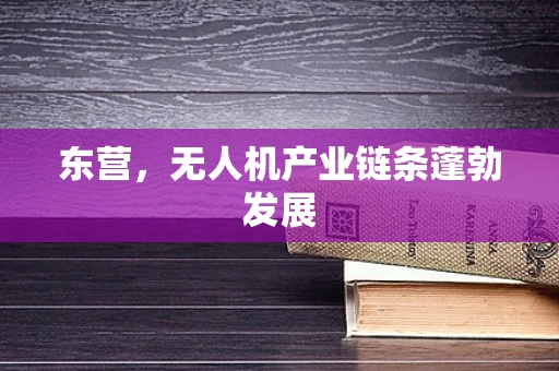 东营，无人机产业链条蓬勃发展