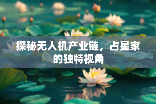 探秘无人机产业链，占星家的独特视角