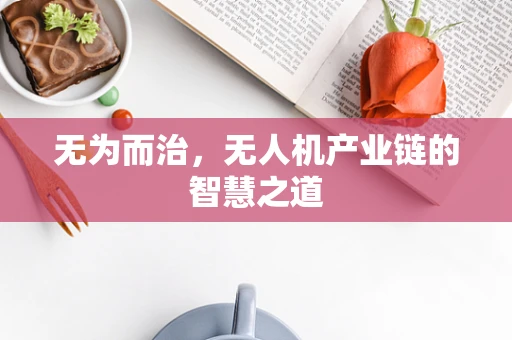 无为而治，无人机产业链的智慧之道
