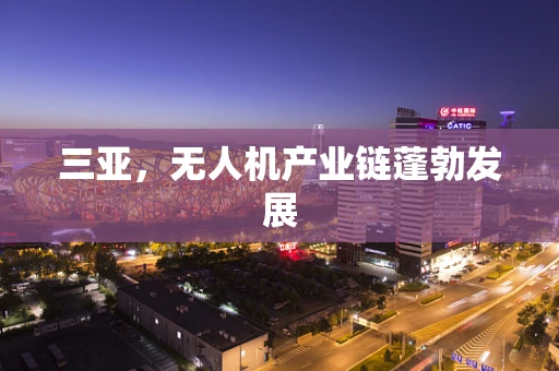三亚，无人机产业链蓬勃发展