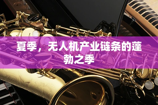 夏季，无人机产业链条的蓬勃之季