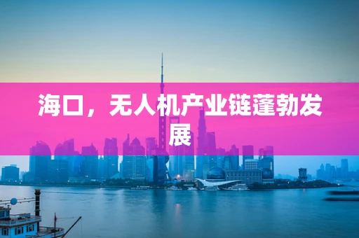 海口，无人机产业链蓬勃发展
