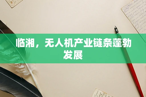 临湘，无人机产业链条蓬勃发展
