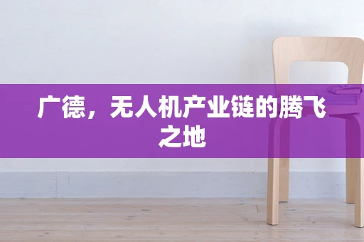 广德，无人机产业链的腾飞之地