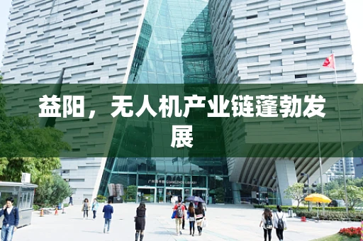 益阳，无人机产业链蓬勃发展
