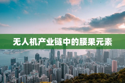 无人机产业链中的腰果元素