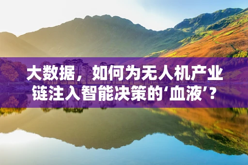 大数据，如何为无人机产业链注入智能决策的‘血液’？