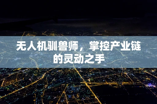 无人机驯兽师，掌控产业链的灵动之手