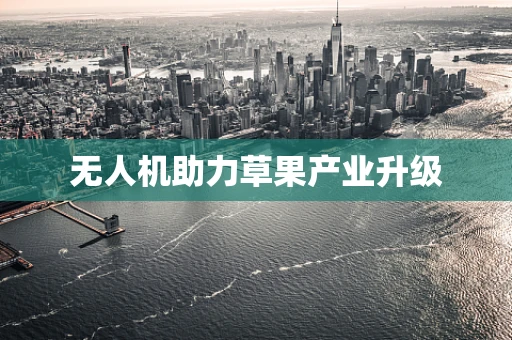 无人机助力草果产业升级