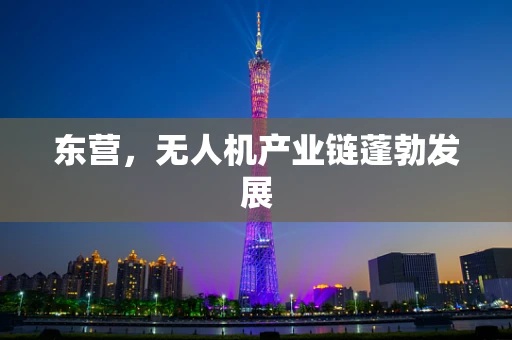 东营，无人机产业链蓬勃发展